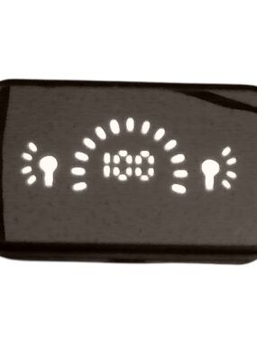 Earbud Headphones with LED Display